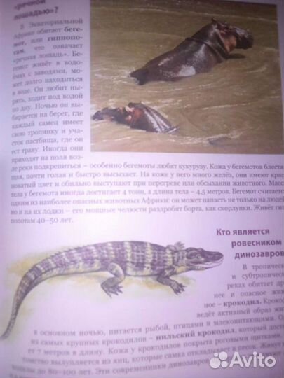 Энциклопедия школьника