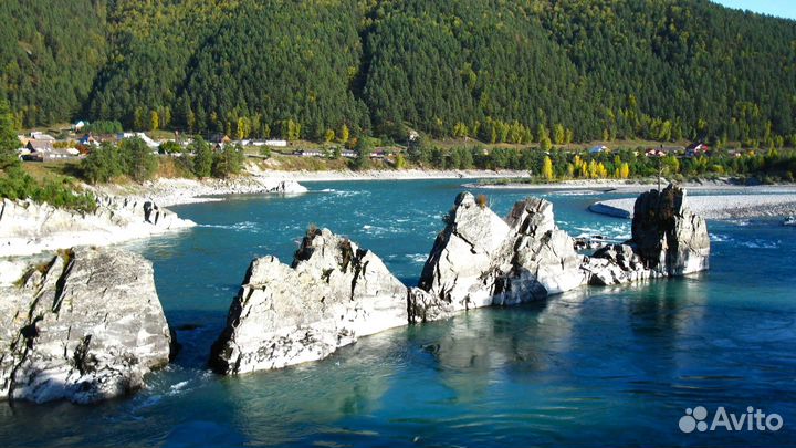 Путешествие на Алтай летом экспедиции 5-9 дн