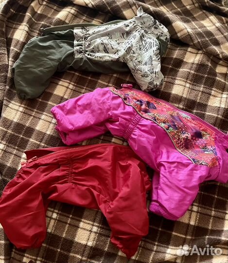 Комбинезон Тузик Йорк 2