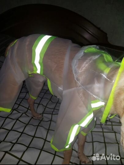 Дождевик для средней собаки