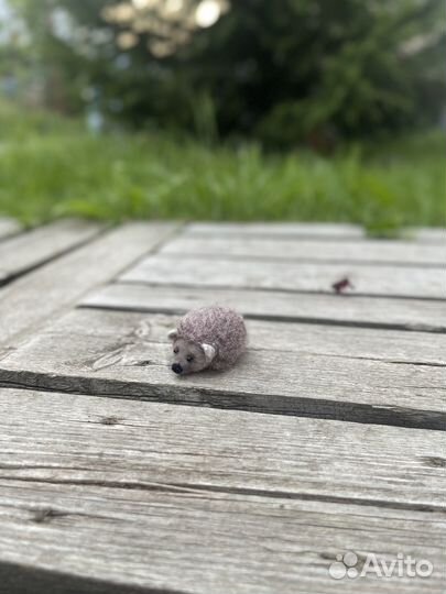 Ежик, еж маленький