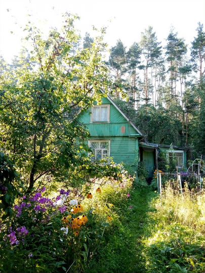 Участок 10 сот. (СНТ, ДНП)