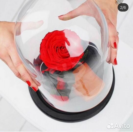 Неувядающая роза в колбе