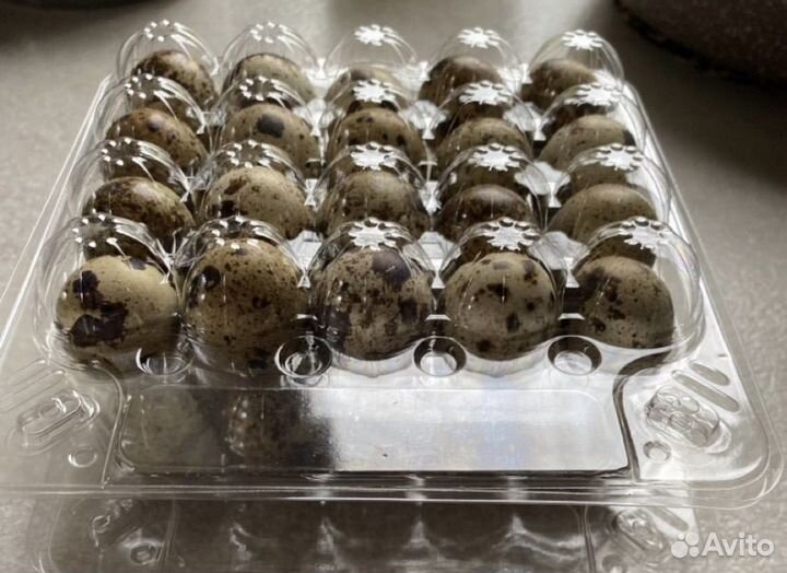 Тара для перепелиных яиц. Упаковка для яиц