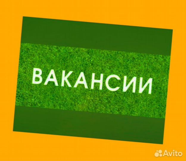 Упаковщик Вахта Жилье/Еда Выплаты еженед. +Отл.Усл