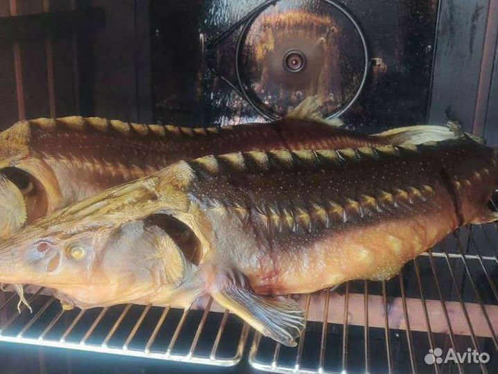 Царская рыба копченая и свежая