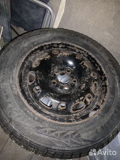 Nokian Tyres Nordman 7 175/70 R14