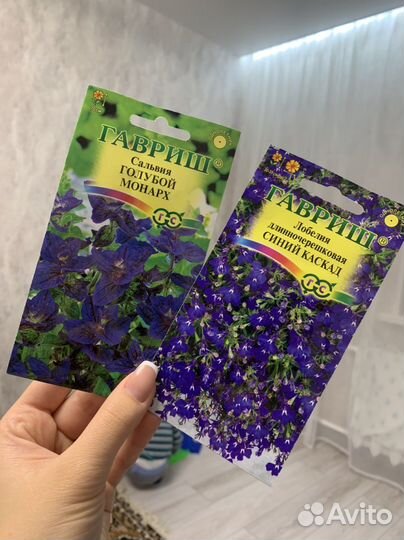 Семена цветов