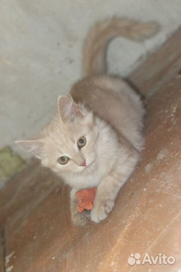 Злата в надежные руки