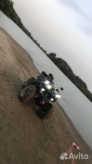 Тайгер мах 300