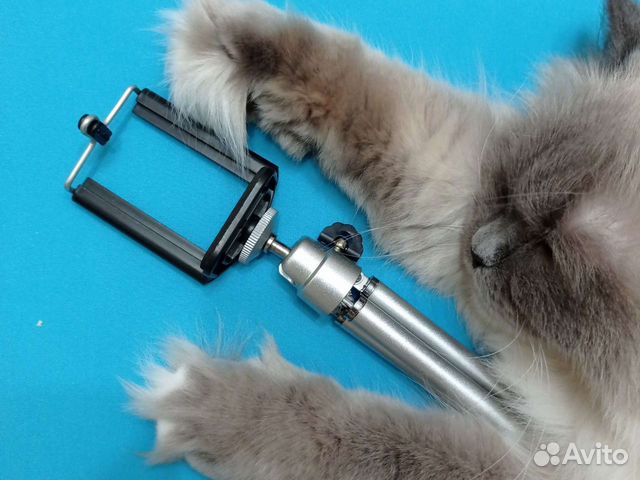 Тринога для телефона