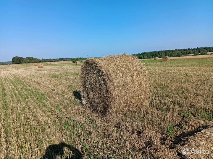 Солома в тюках с доставкой
