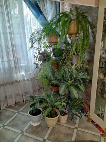 2-к. квартира, 55,2 м², 1/4 эт.