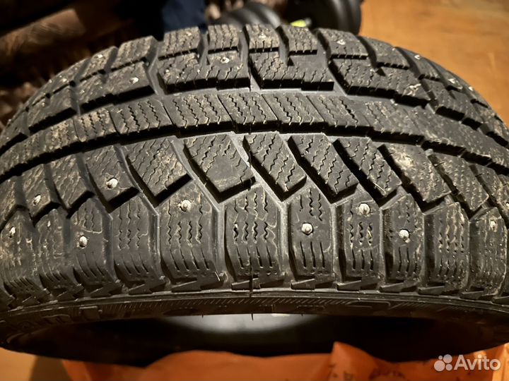 Cordiant Polar 2 205/55 R16