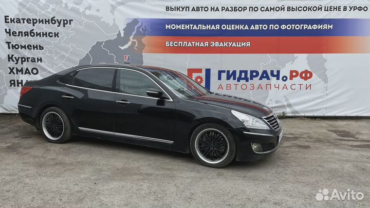 Петли двери передние левые Hyundai Equus (VI)