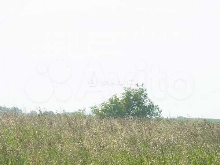 Участок 3,88 га (СНТ, ДНП)