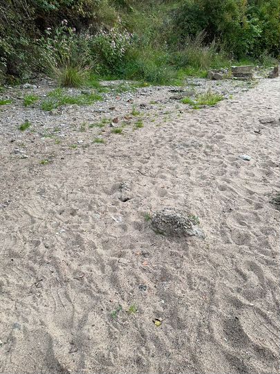 Участок 40 сот. (ИЖС)