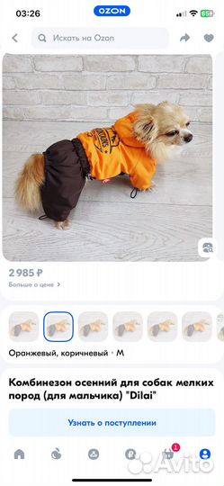 Комбинезон демисезонный для собак мелких пород