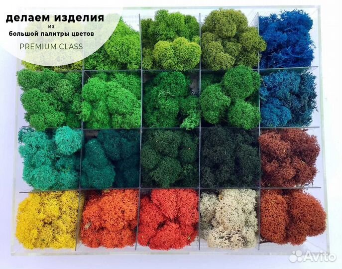 Зеркало со мхом трава