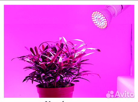 Светодиодная лампа биколор (фитолампа) E14, Е27