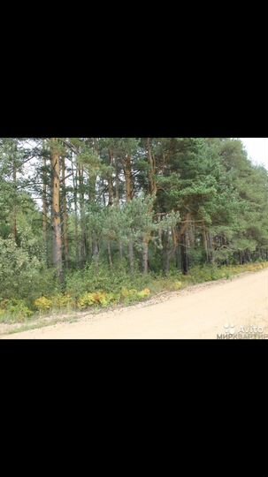 Участок 17 сот. (ИЖС)