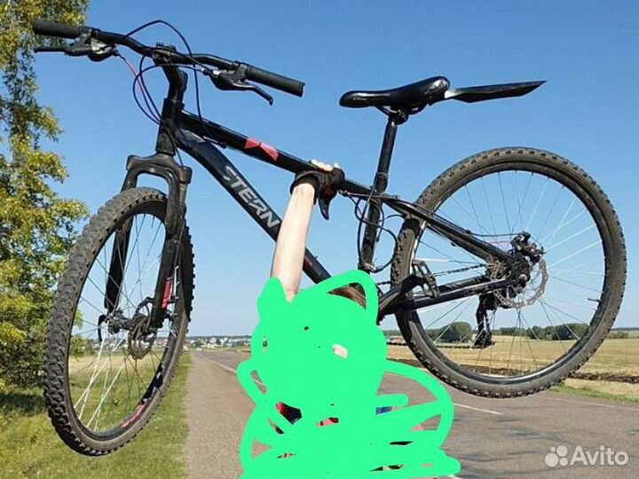 Stern Dynamic 2.0 2019