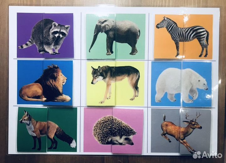 Развивающие игры для детей