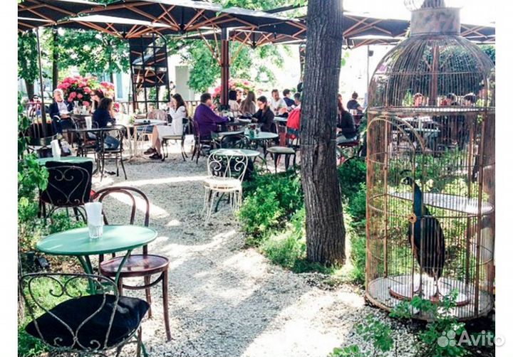 Зонт уличный scolaro