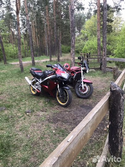 Suzuki gsxr1000