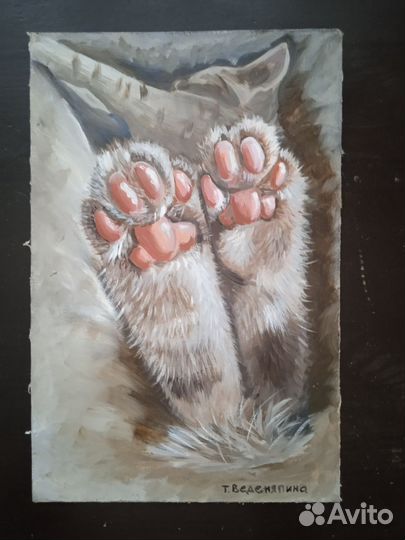 Картины маслом котики 