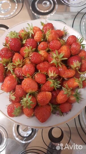 Смородина, малина