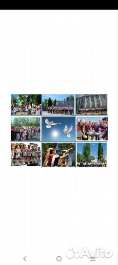 Белые голубь на свадьбу