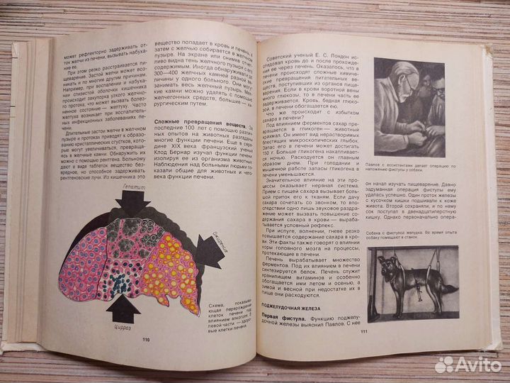 Книга для чтения по анатомии. И. Д. Зверев