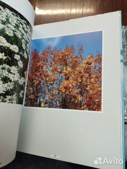 Кольское Заполярье. Фотоальбом