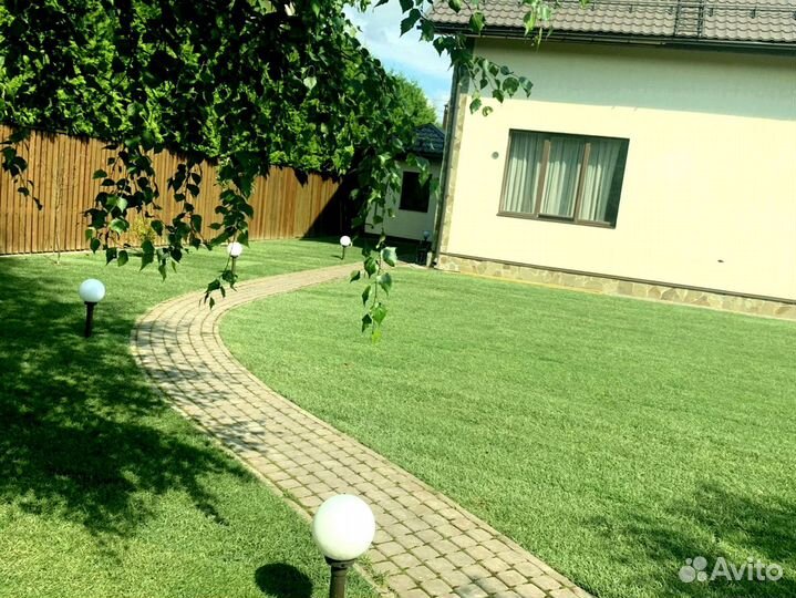 Рулонный газон