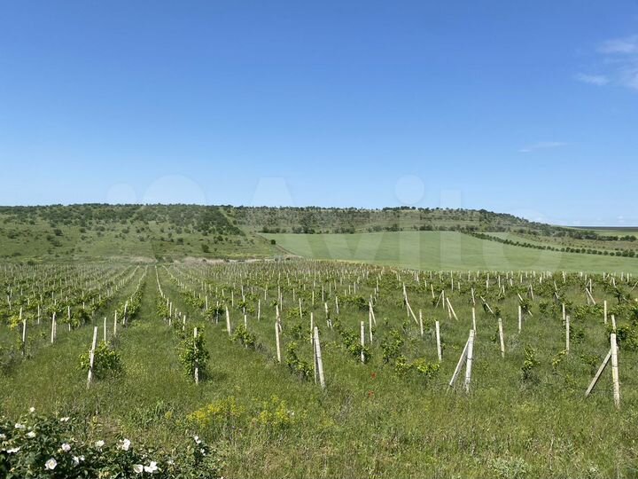 Участок 4,48 га (СНТ, ДНП)