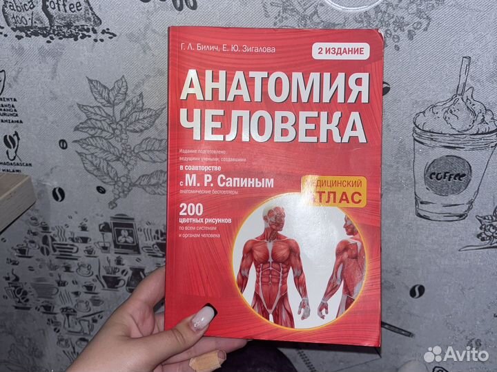 Учебное пособие «Анатомия человека»