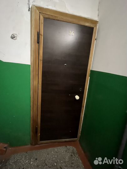 Металлическая дверь