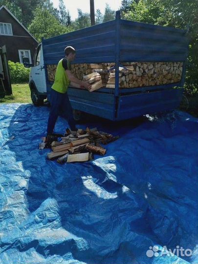 Сухие березовые дрова