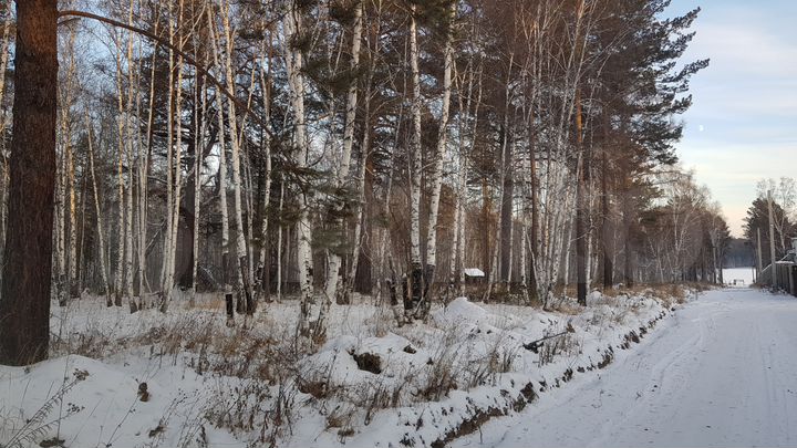 Участок 10 сот. (ИЖС)