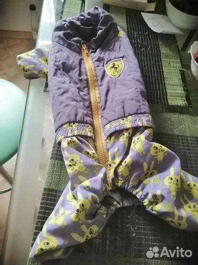 Комбинезон для маленькой собаки, кобель