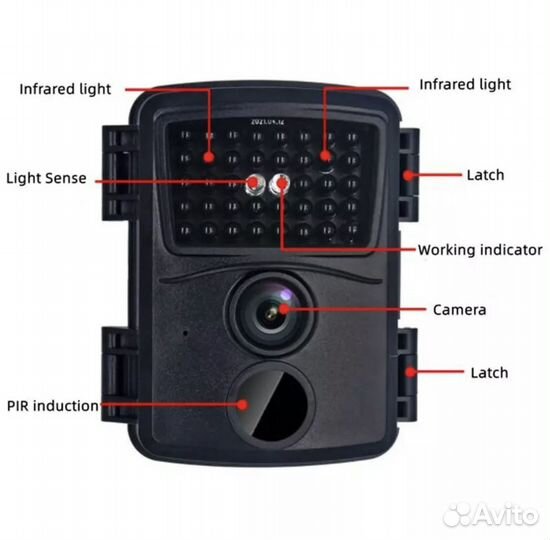 Фото ловушка с ночным видинием охота