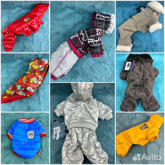 Одежда для собак