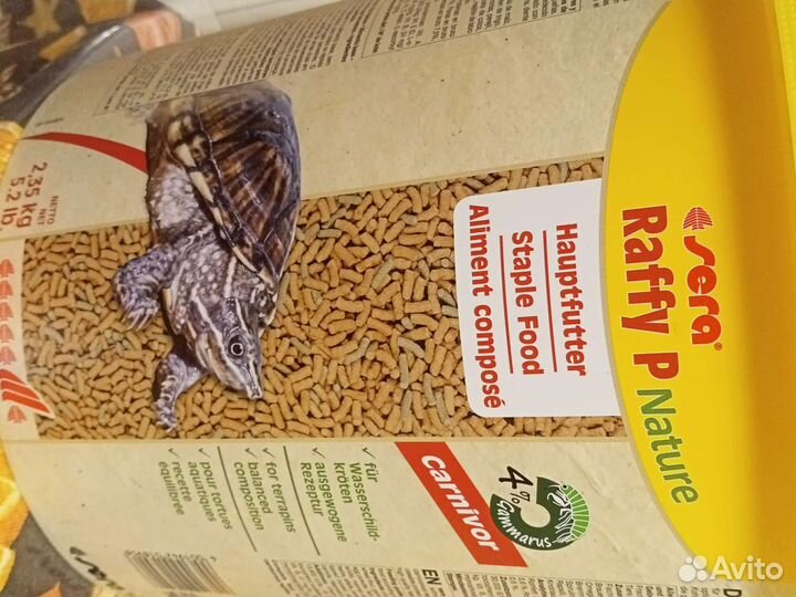 Корма для животных