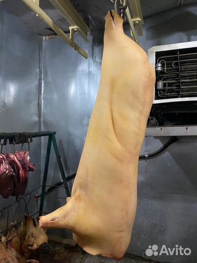 Мясо свинина домашняя