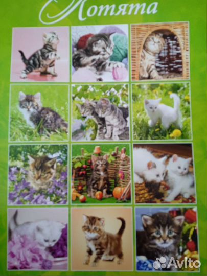 Календари прошлых лет