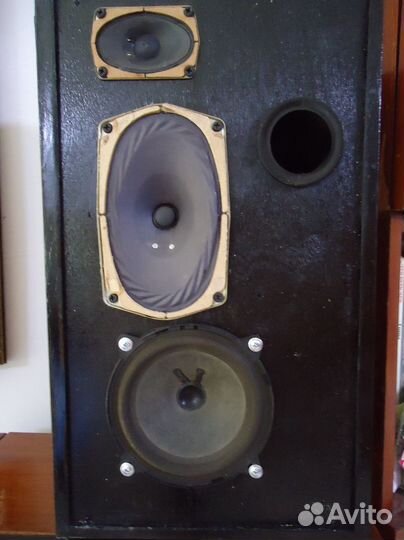 Громкоговорители Россия