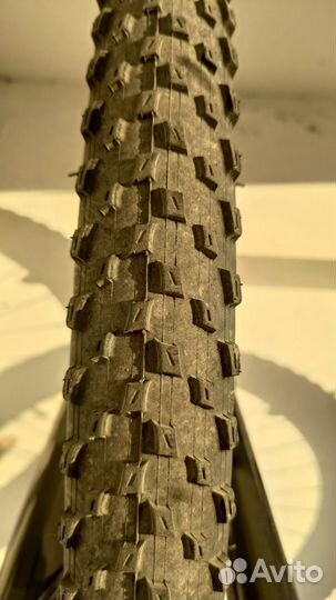 Gt avalanche elite 2021