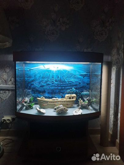 Аквариум панорамный с тумбой