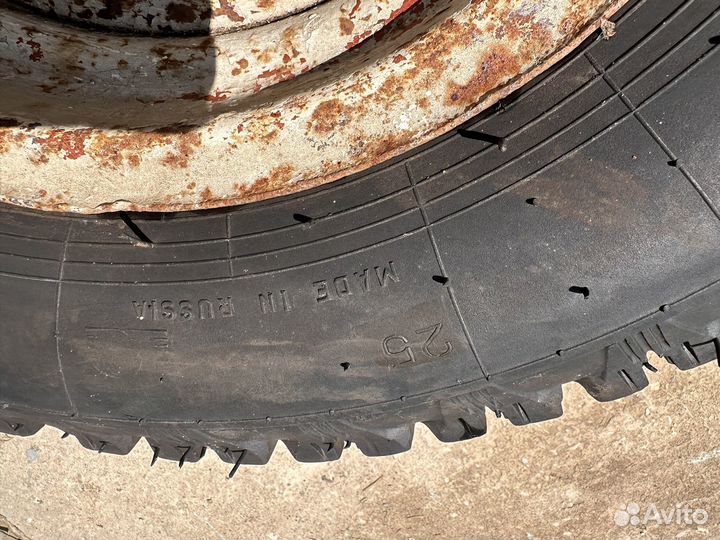 Барнаул И-146 155/6 R13